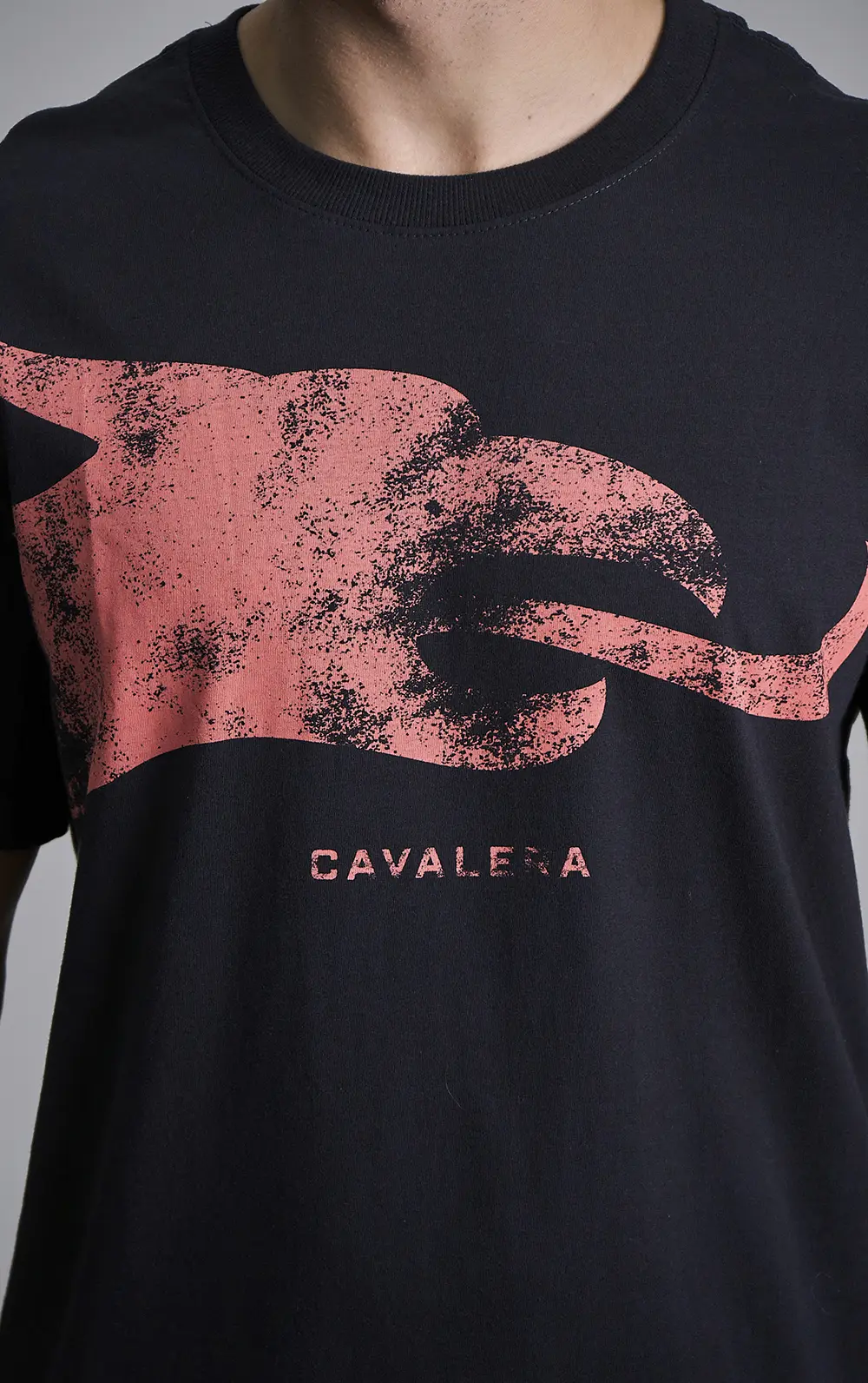 T-SHIRT CAVALERA INDIE EAGLE DESTROYED