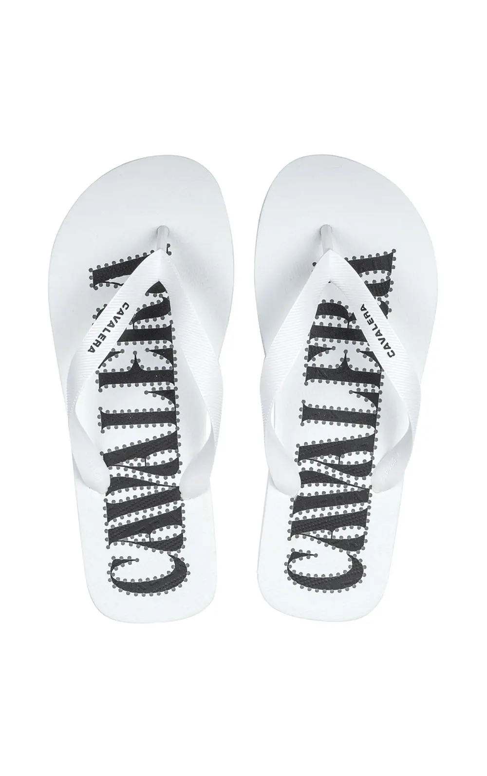 CHINELO CAVALERA PONTILHADOS