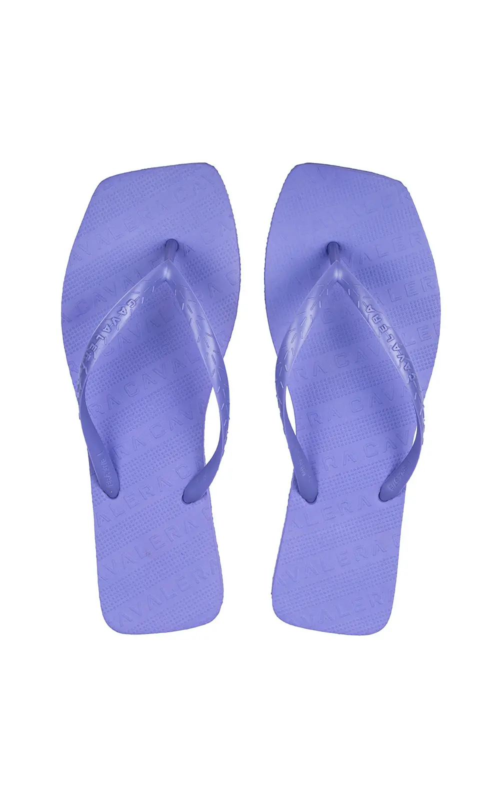 CHINELO CAVALERA BASIC E BOLSA