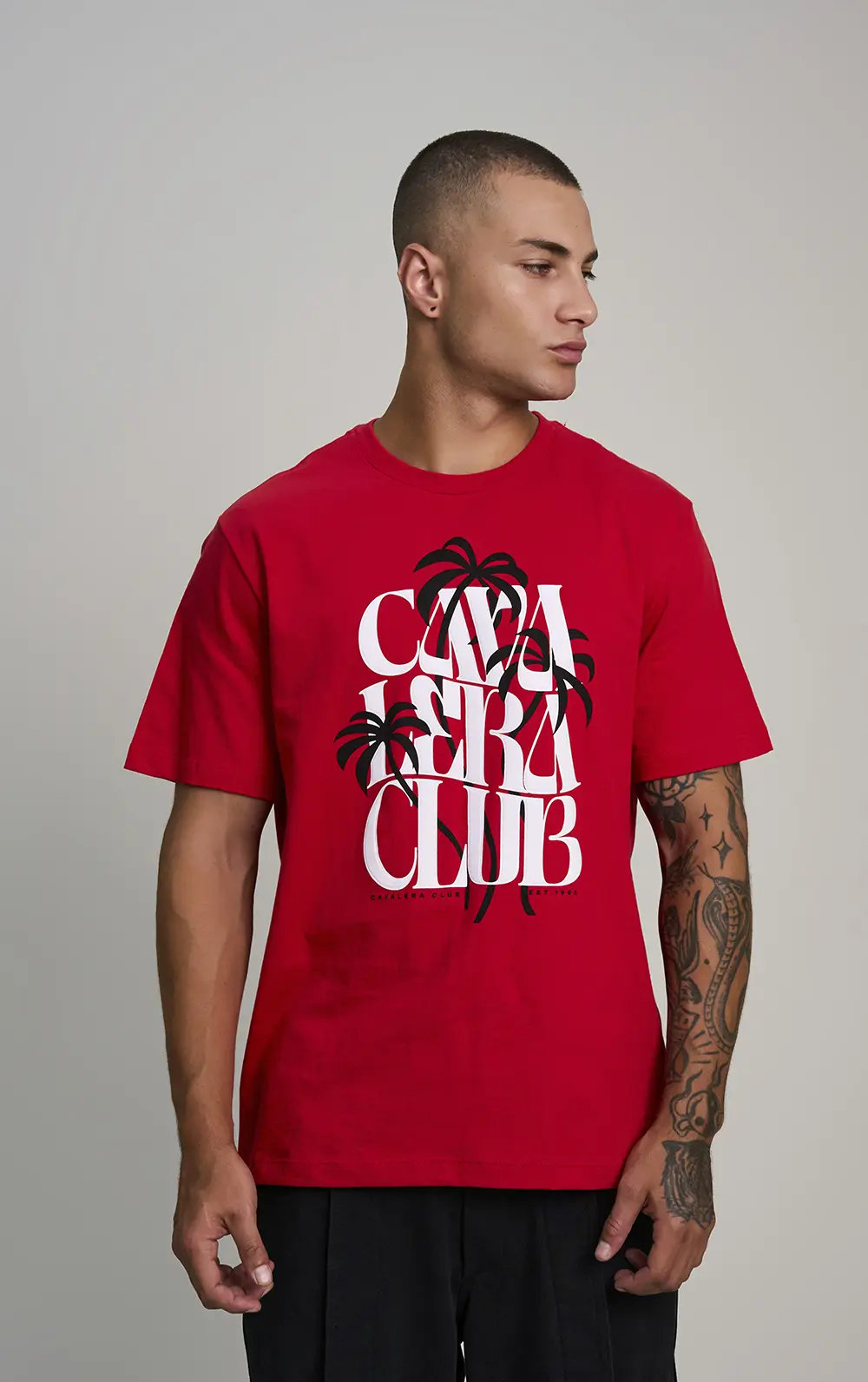 T-SHIRT CAVALERA COMFORT COCONUT TREE