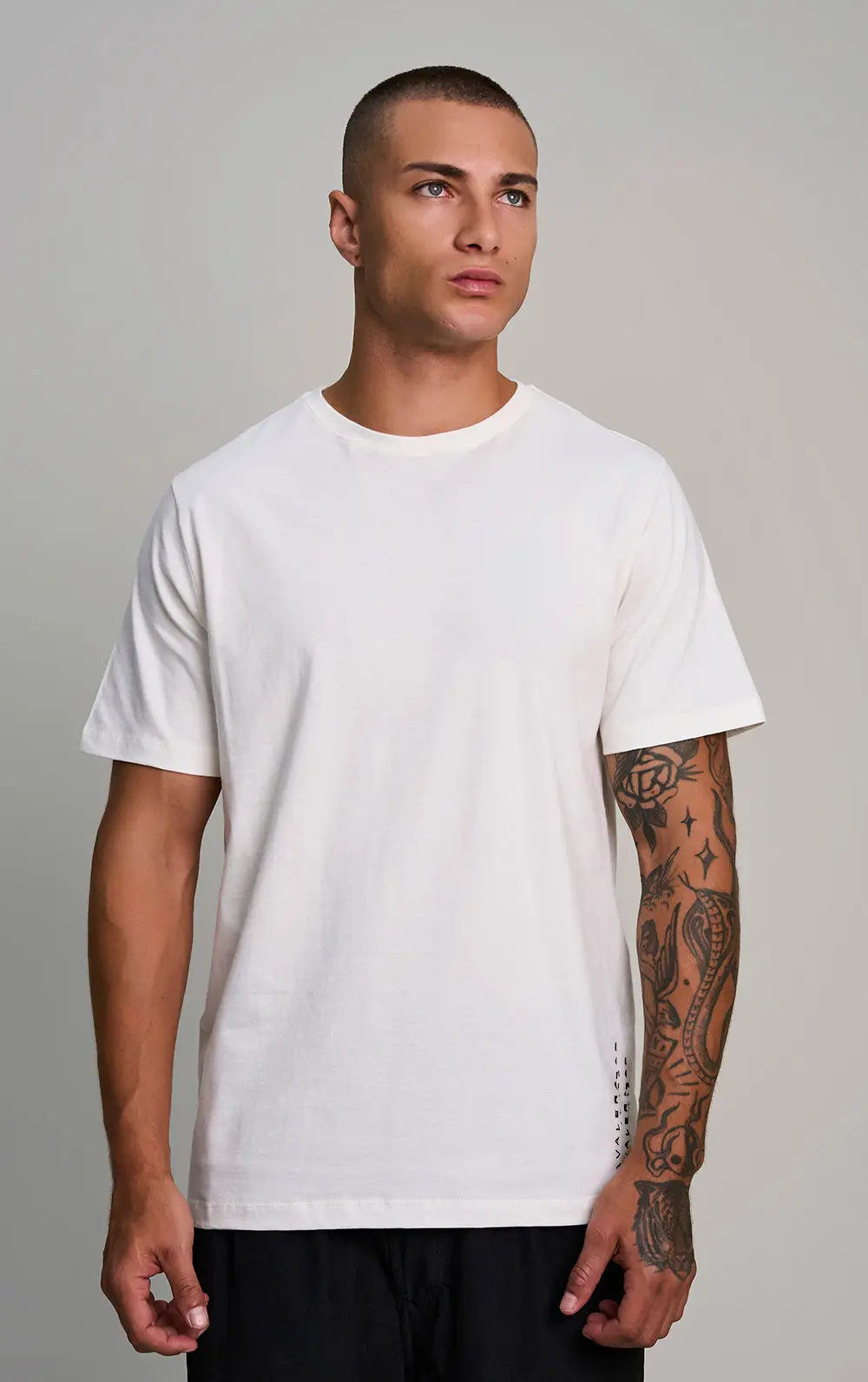 T-SHIRT CAVALERA COMFORT PREMIUM STREET
