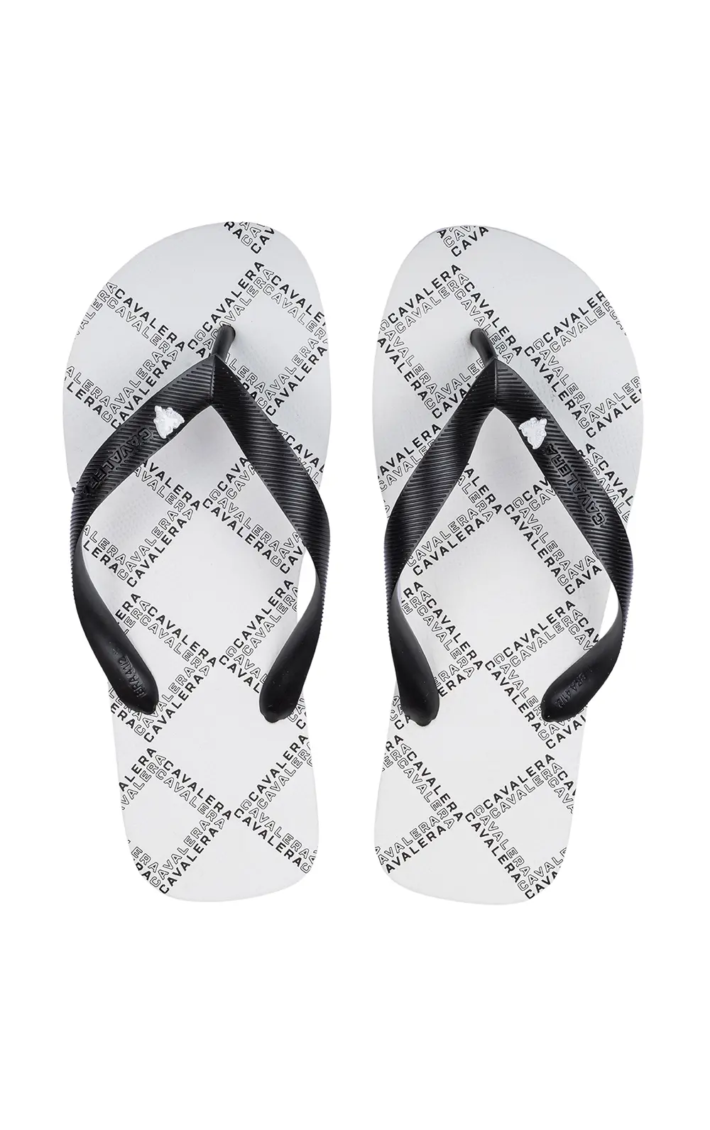 CHINELO LOGO PAISLEY