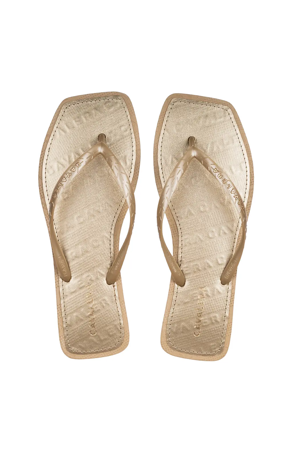 CHINELO CAVALERA SHINE