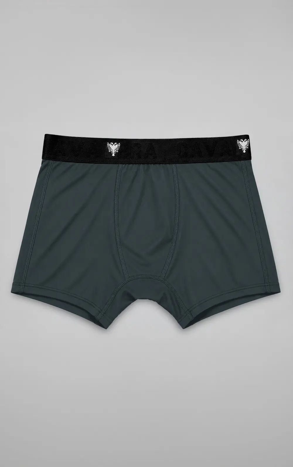 CUECA CAVALERA BOXER MICRO