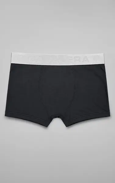 CUECA CAVALERA BOXER LOGO PRT