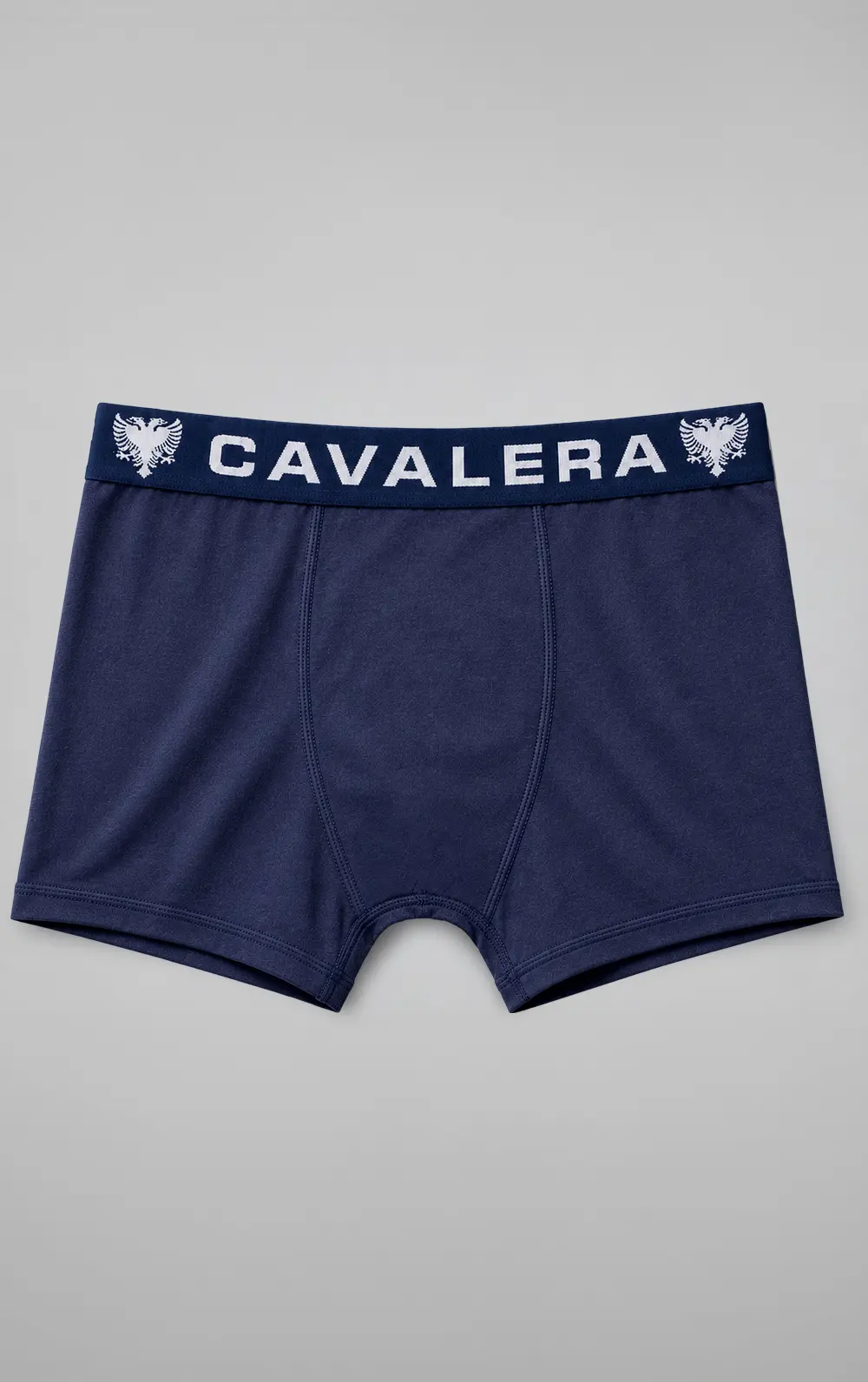CUECA CAVALERA BOXER LOGO