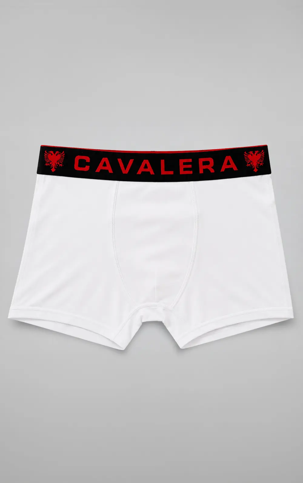 CUECA CAVALERA BOXER LOGO