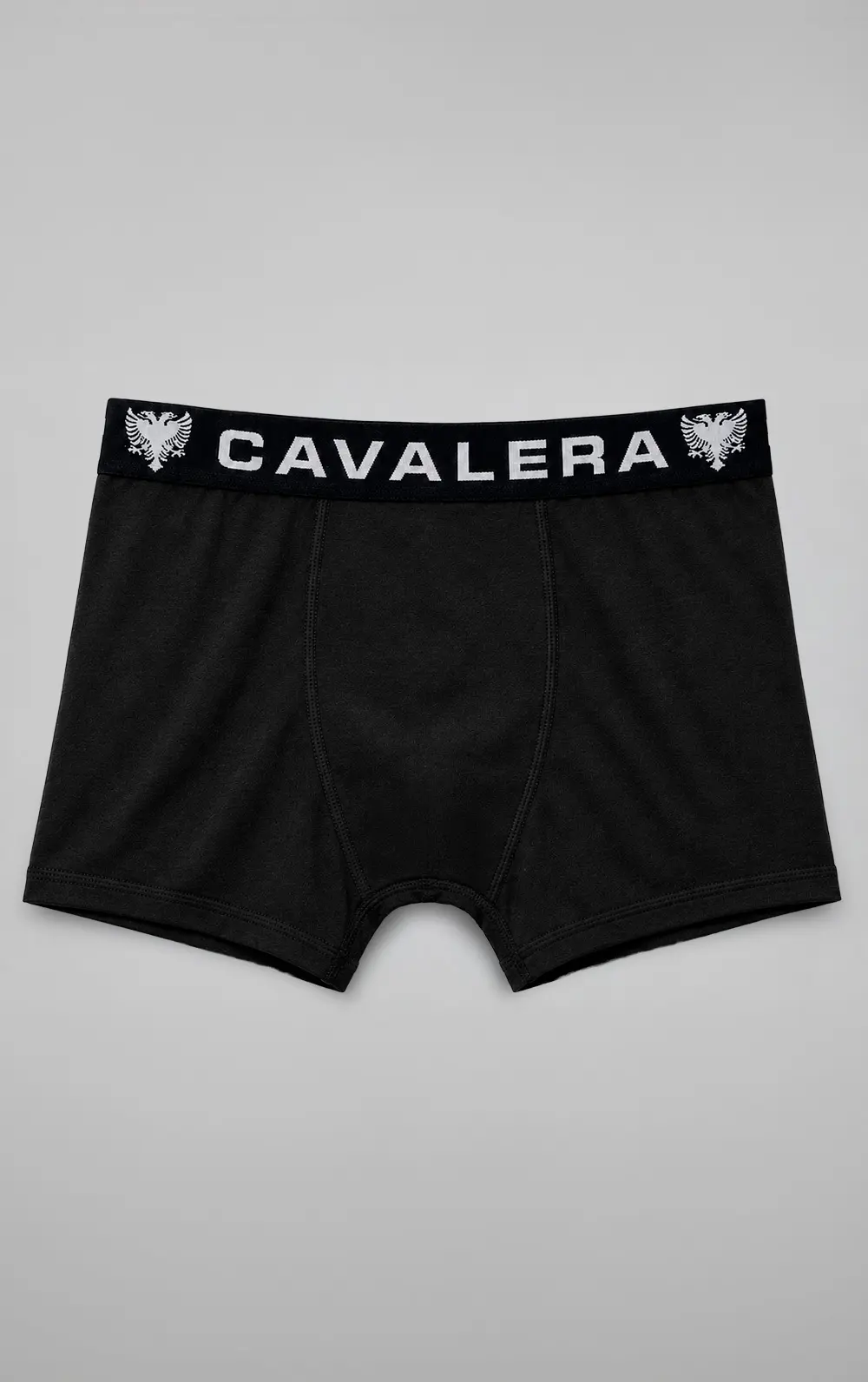 CUECA CAVALERA BOXER LOGO