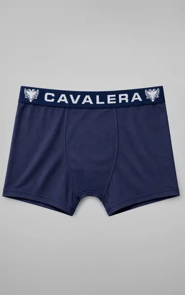 CUECA CAVALERA BOXER LOGO