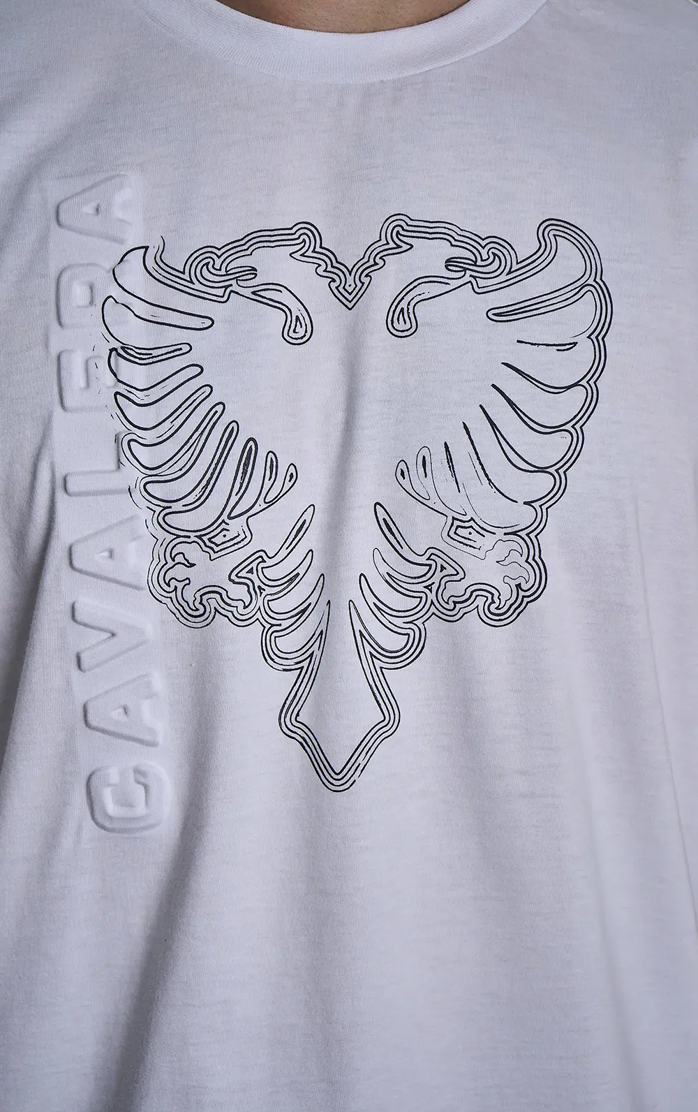T-SHIRT CAVALERA COMFORT EAGLE LAYERS