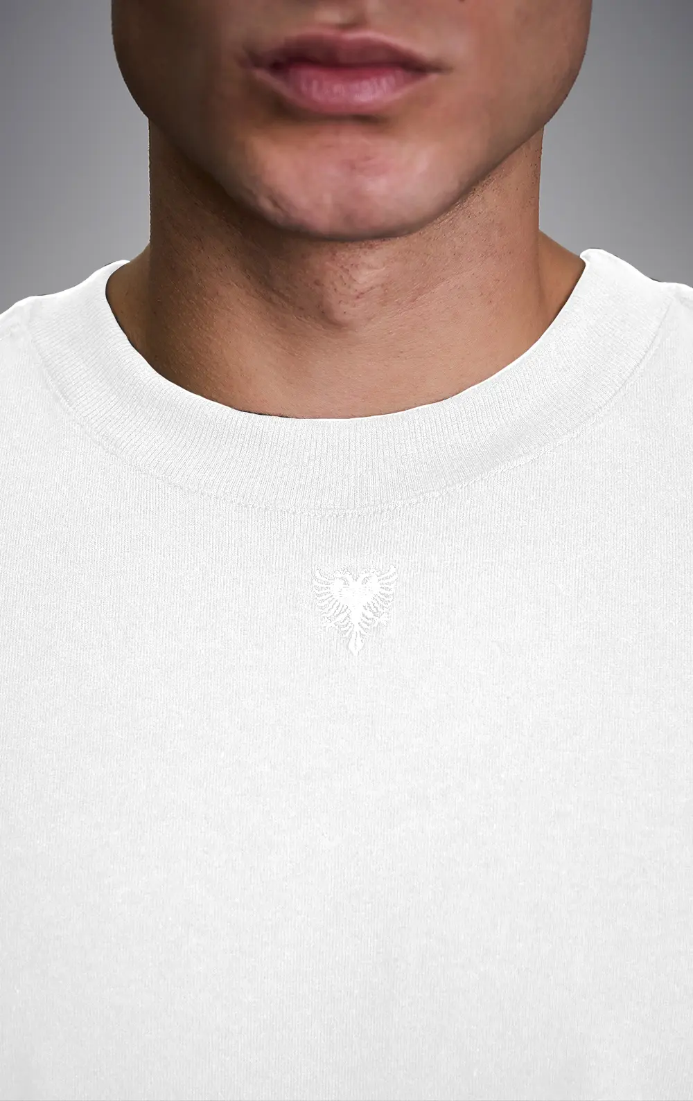 T-SHIRT CAVALERA OVERSIZED ÁGUIA BORDADA