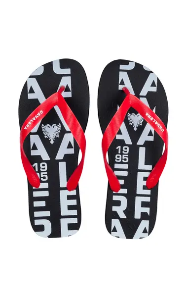 CHINELO FIGHT CAVALERA