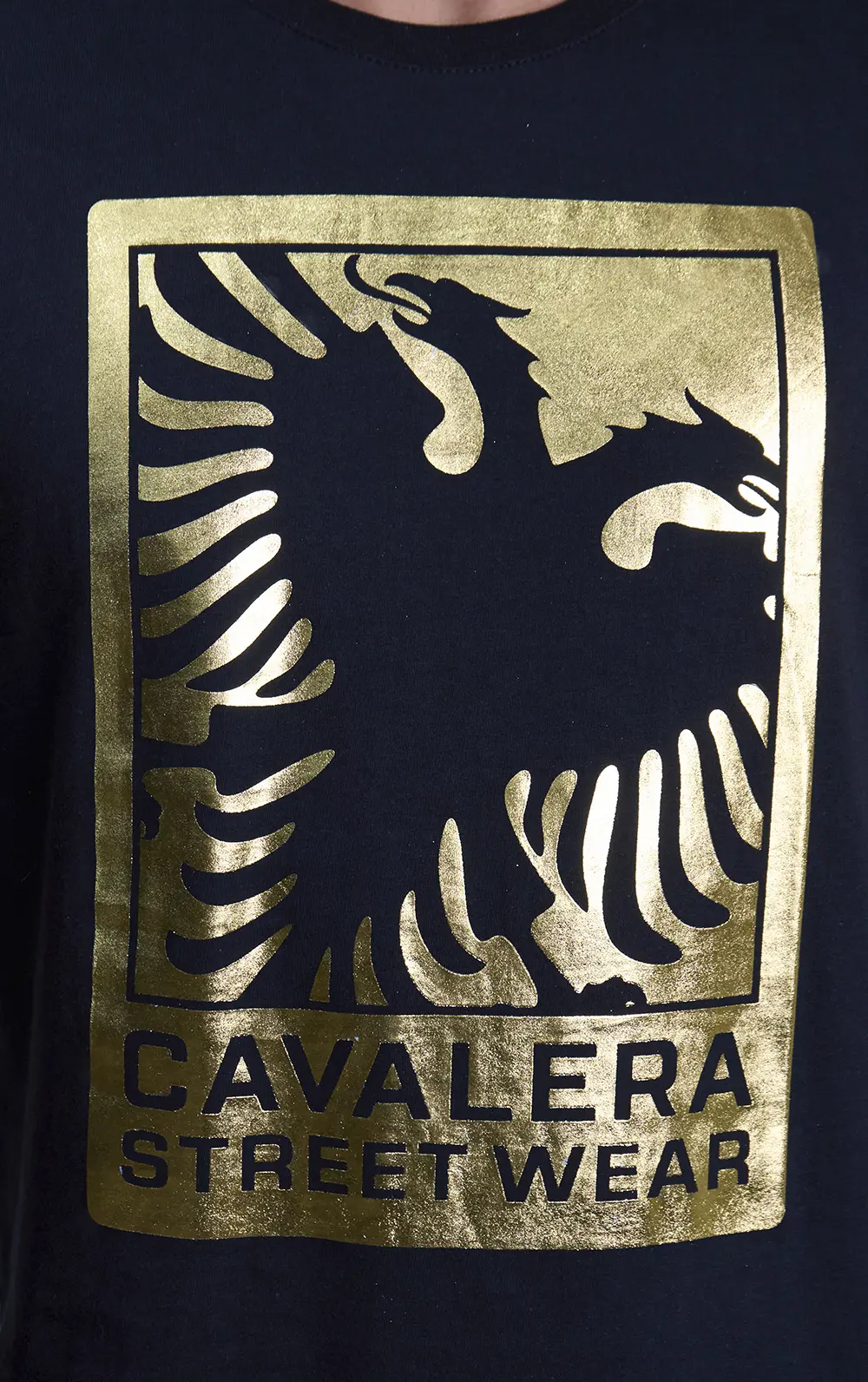 T-SHIRT CAVALERA INDIE FOIL