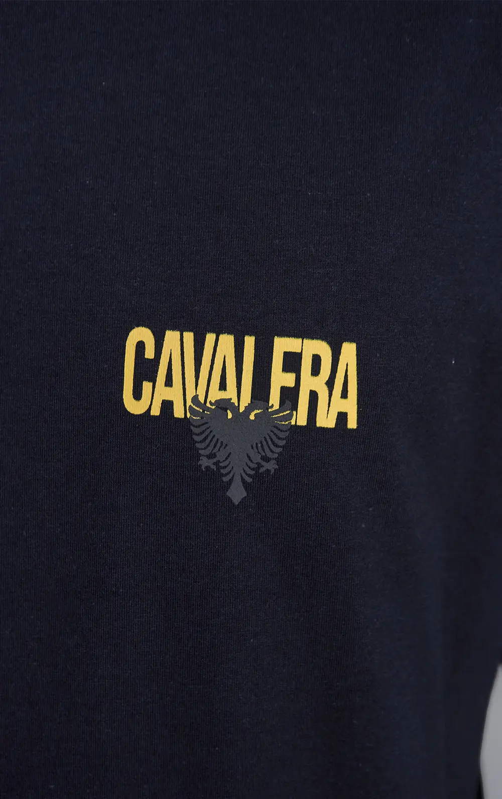 T-SHIRT CAVALERA COMFORT ÁGUIA DESTACADA