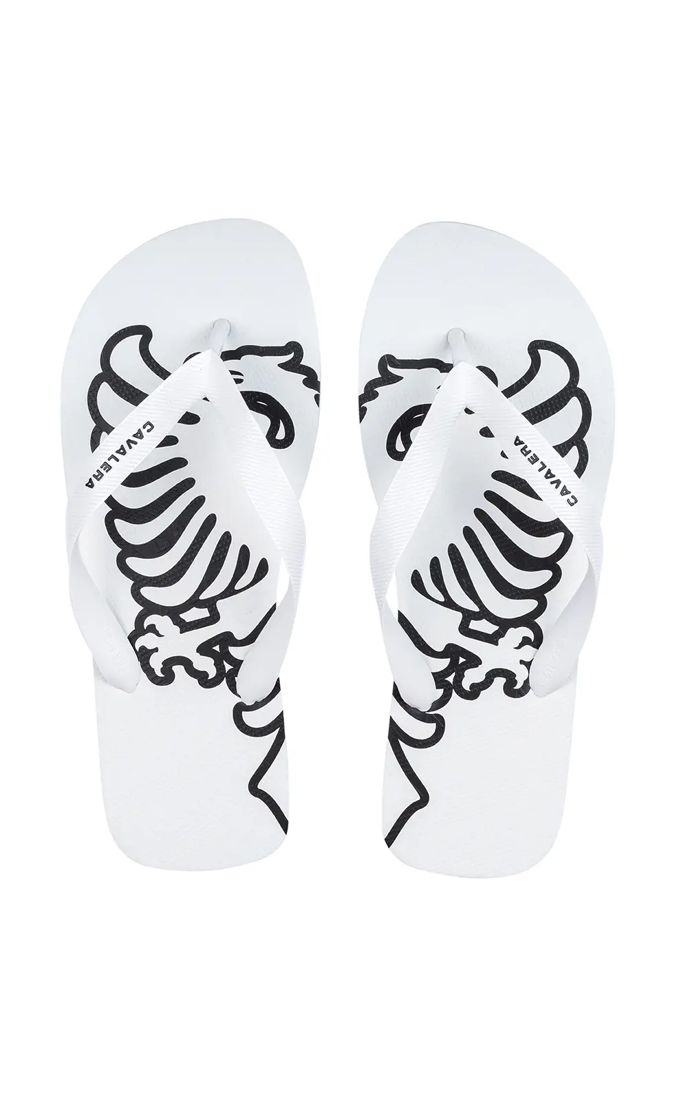 CHINELO CAVALERA EAGLE BORDER