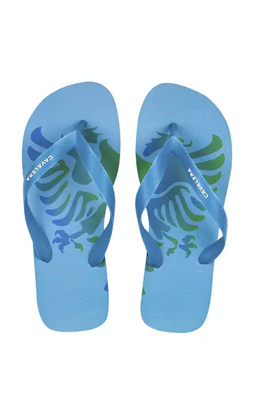 CHINELO CAVALERA M EARTH