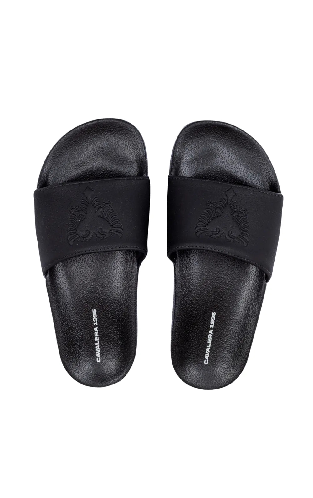 SLIDE CAVALERA BASIC LIFE