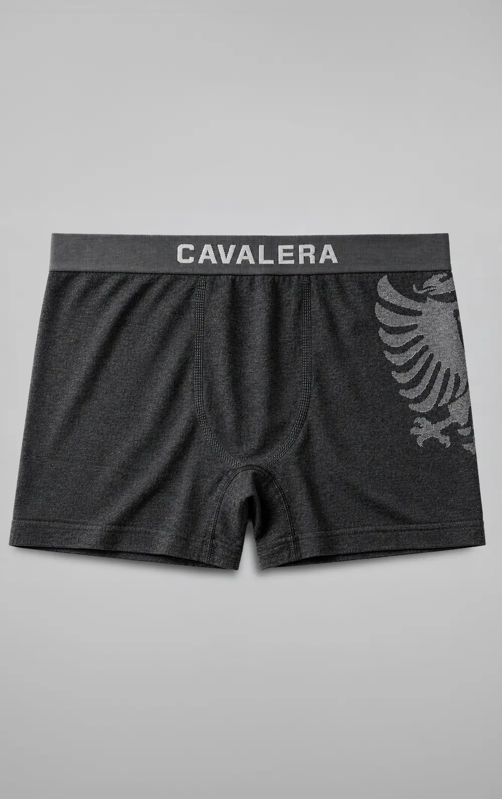 CUECA CAVALERA BOXER SEM COSTURA
