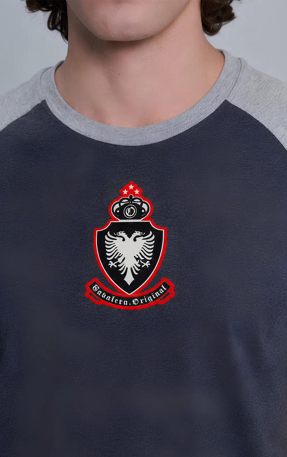 T SHIRT ROOTS RAGLAN CINZA