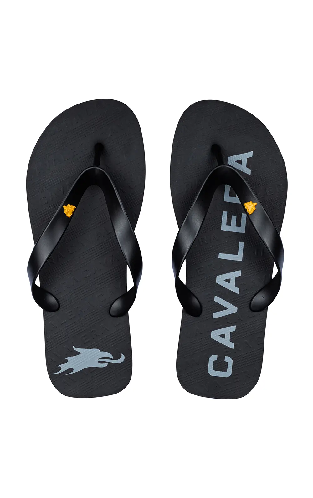 CHINELO CAVALERA  BASIC SURTON